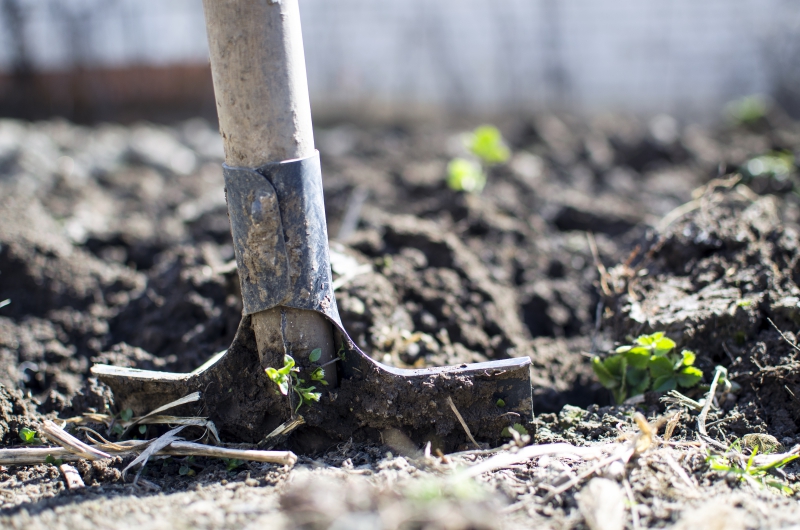 jardinerie-LE LAVANDOU-min_equipment-2047314